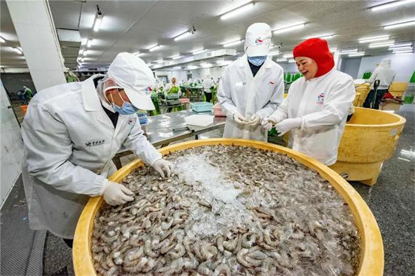 “魚鮮蟹肥”撲騰出海！汕頭海關助牛田洋水產(chǎn)出口
